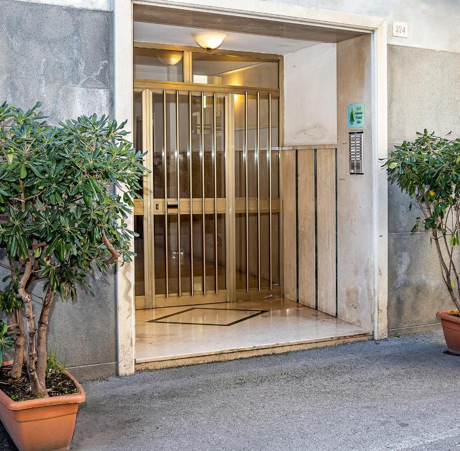Lovely In Center Of Apartment *